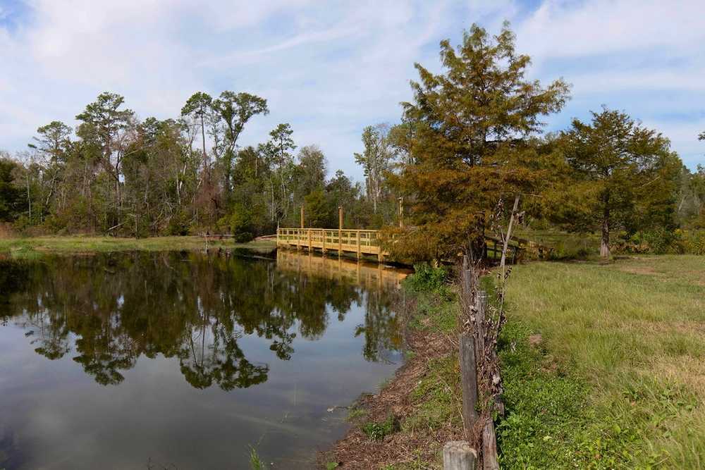 Park Image 8