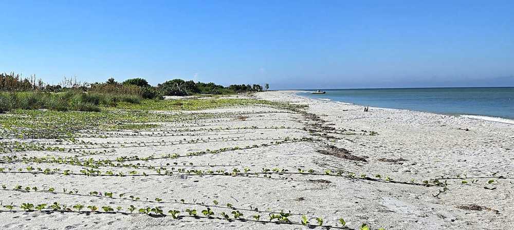 Cayo Costa Hospitality LLC, Captiva, Florida - Photo 2