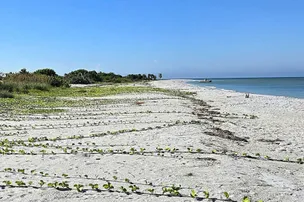 Cayo Costa Hospitality LLC – photo 2