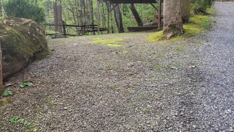 Wooded Sheltered Tent Site W/E — image 3 of 3