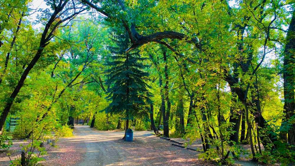 River Grove Campground and Cabins, Drumheller, Alberta - Main Photo