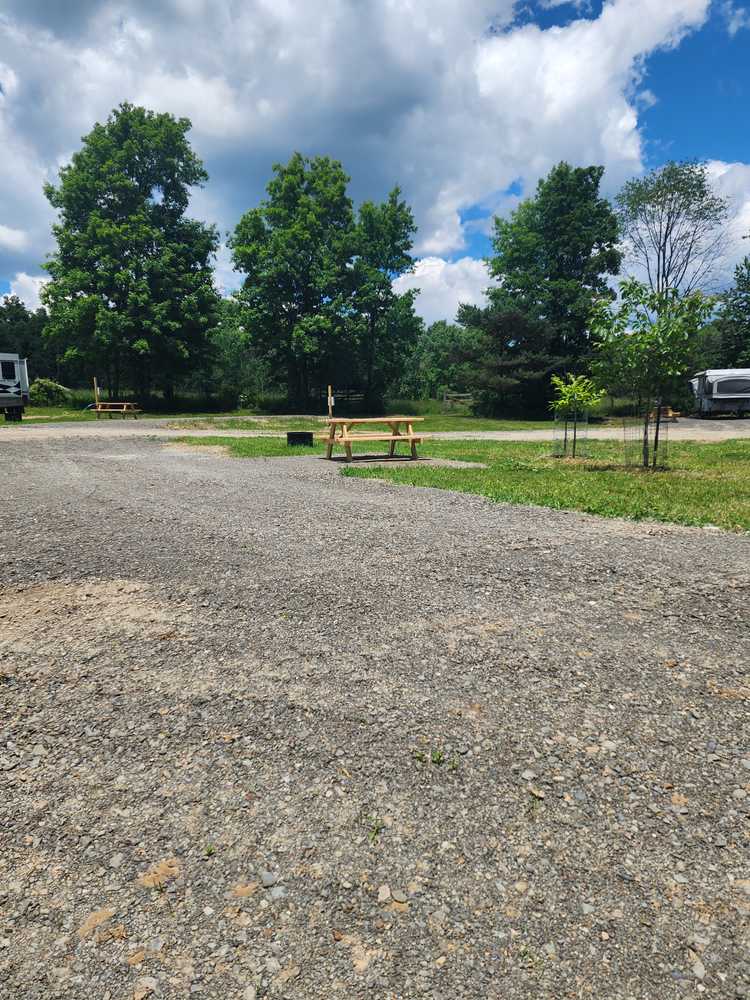 Hillside Haven, Trumansburg, New York - Photo 3