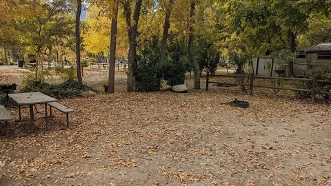 Tent Site — image 3 of 3