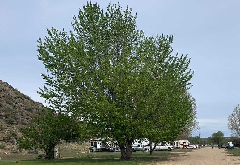 Sunny Ridge RV Park - Photo 3