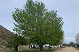 Sunny Ridge RV Park – photo 3