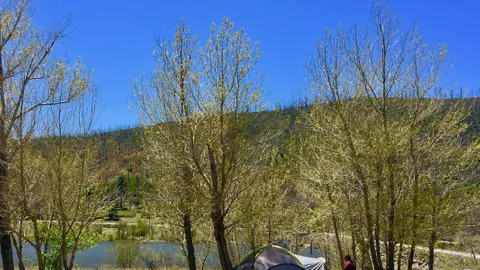 Lone Pine Tent Site max 4 person — image 5 of 5