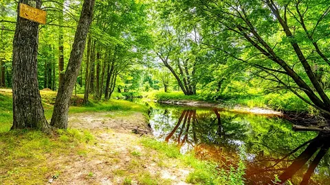Rustic River Tent Site — image 1 of 1