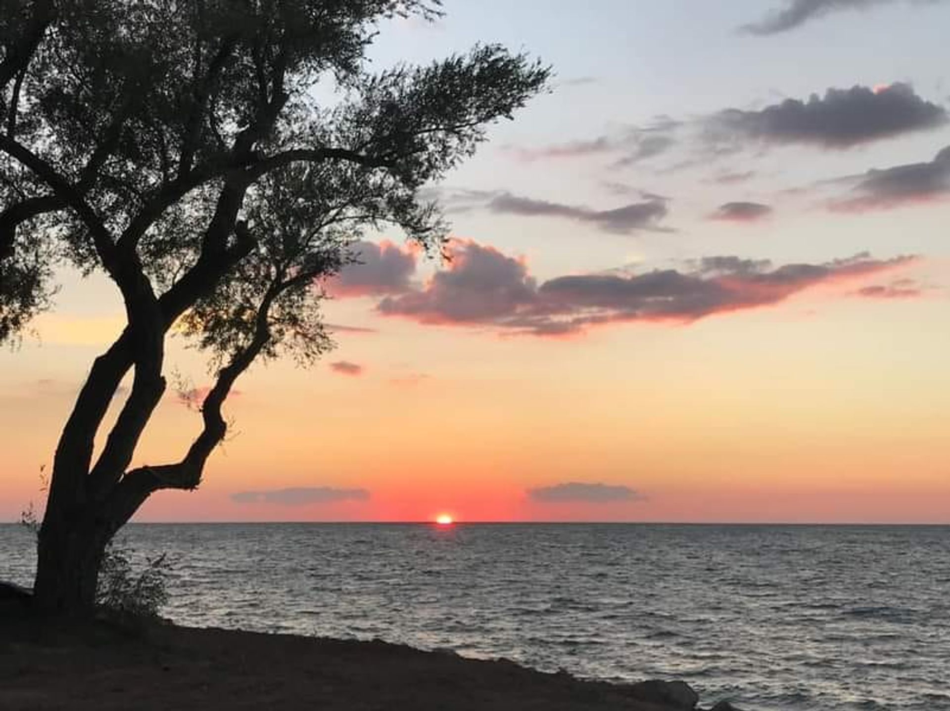 Willow Beach RV Park