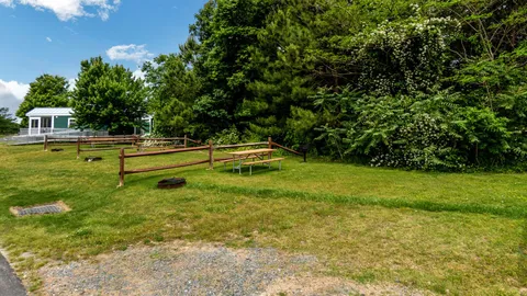 Primitive Tent Site — image 3 of 3