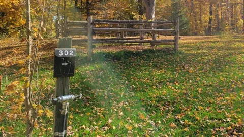 SBL Site 302 - Unserviced (TEC) — image 1 of 2