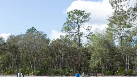 30 Amp & Water RV Site — image 2 of 9