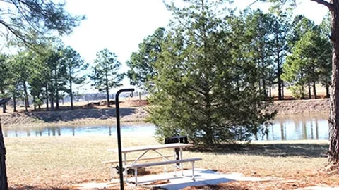 Primitive Tent Site — image 3 of 3