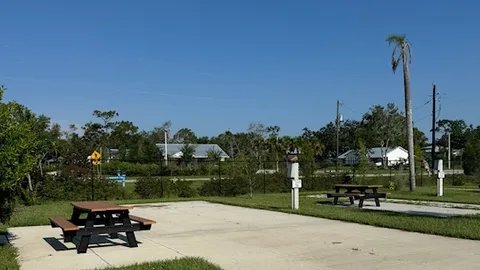 Jungle Lot — image 1 of 1