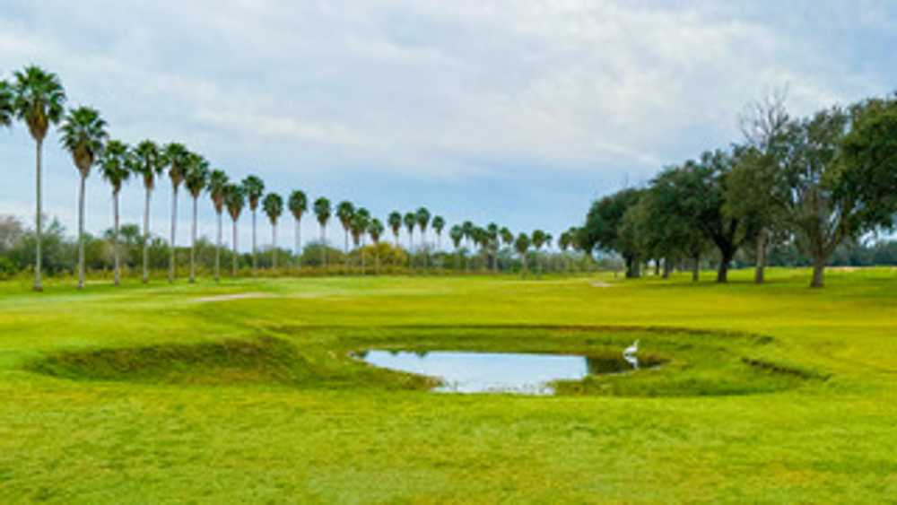 River Bend RV Resort, Brownsville, Texas - Photo 4