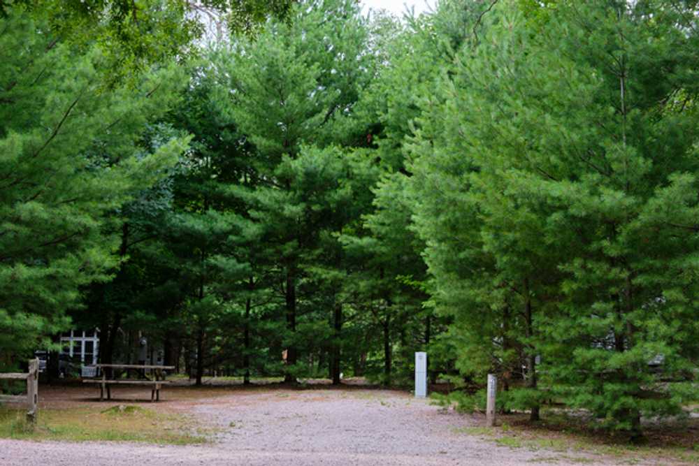 Full Hookup Campsites- Back-in