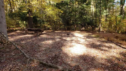 Primitive Tent Site — image 7 of 7