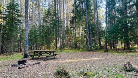 WOODED SITE 19 — image 4 of 4