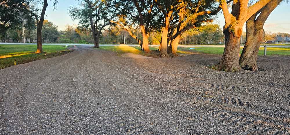Park Image 5