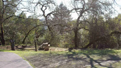 Primitive Tent Site — image 2 of 8
