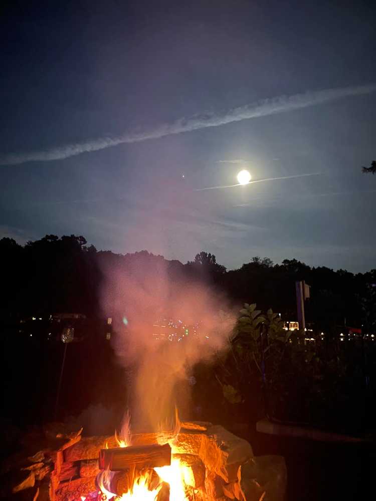 Water’s Edge Family Campground - Photo 2