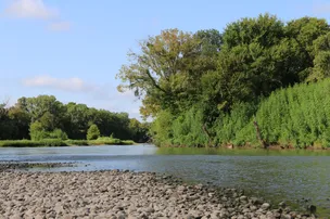 Plum Park on the Colorado – photo 2