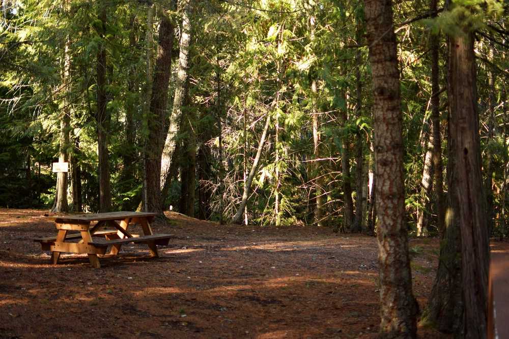 Park Image 6