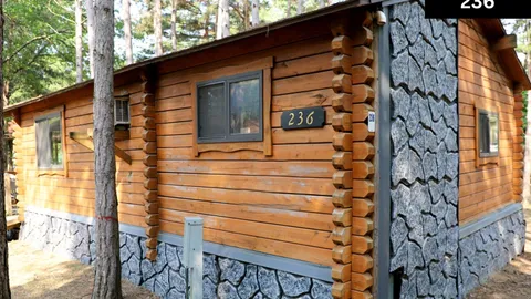 Cabin — image 2 of 5