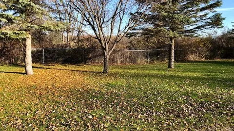 Primitive Tent Site — image 2 of 2