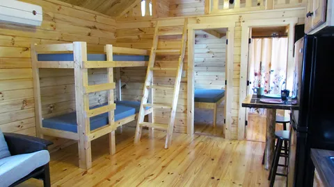 Black Forest Pet Friendly Cabin — image 4 of 4