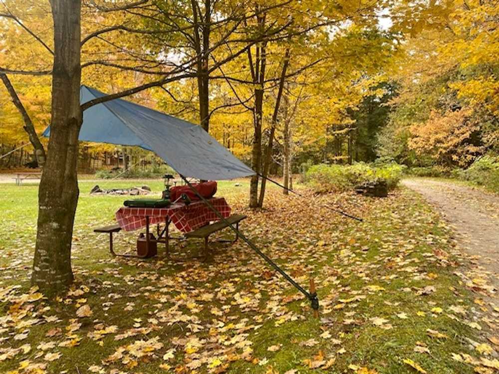 Park Image 12