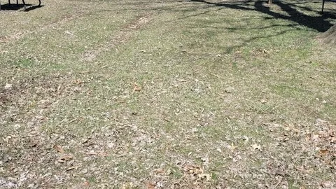 Water and Electric RV Site — image 1 of 2