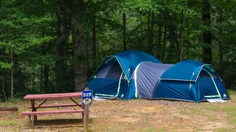 Standard Tent - Lower — image 1 of 4