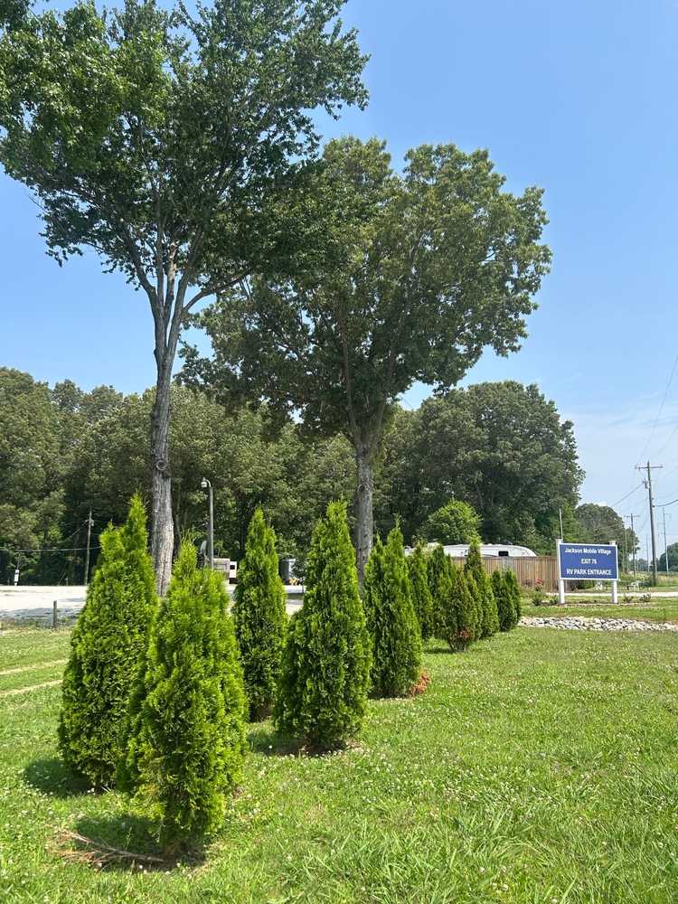Exit 76, Jackson, Tennessee - Photo 2