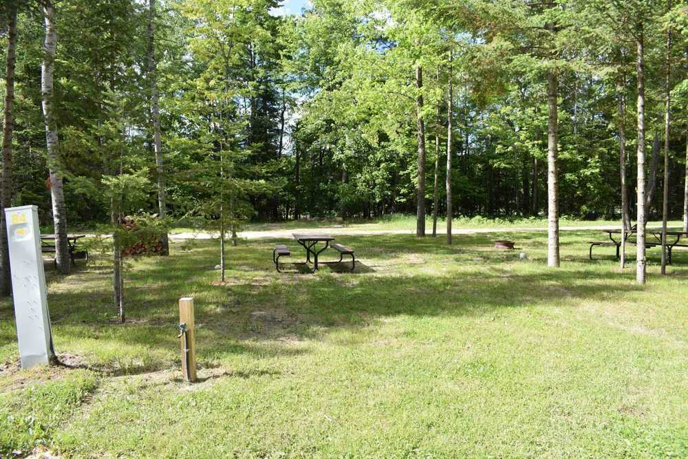 Wooded Acres Family Campground Houghton Lake, Michigan Campspot