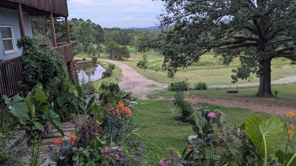 Ouachita Campground at Edendell, Oden, Arkansas - Photo 3