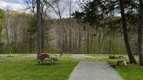 Full Hook-Up Back-In RV Site — image 1 of 1
