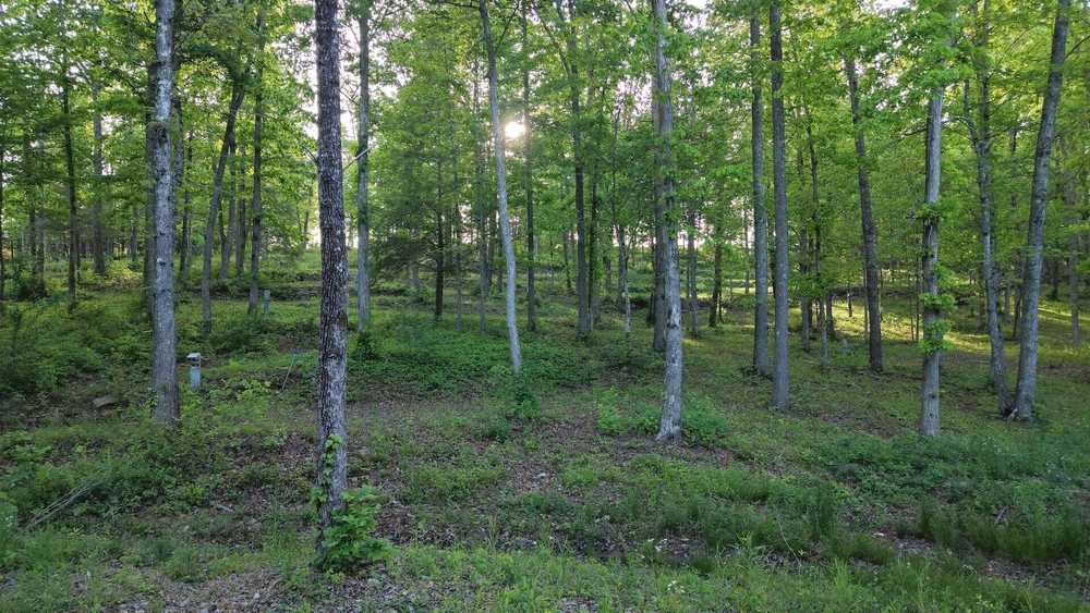 Stillwaters Creek -  Spencer, TN - Photo 4