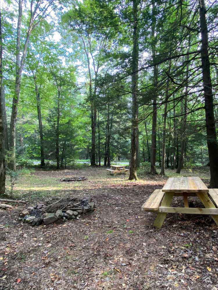 Sleepy Hollow Campground - Photo 5