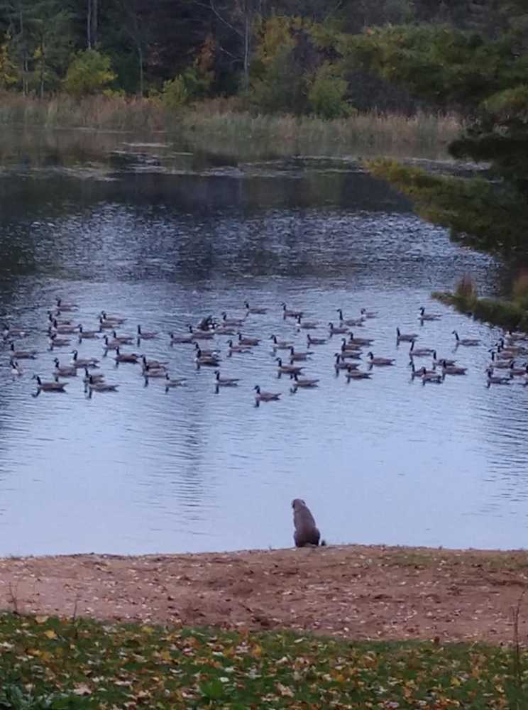 Otter Springs Campground, Bowler, Wisconsin - Photo 4
