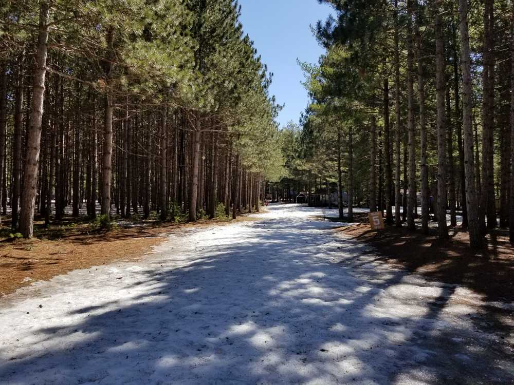Pine Ridge Park Campsite - Photo 2