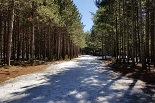 Pine Ridge Park Campsite – photo 2