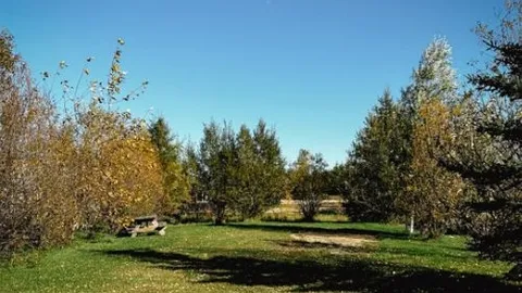 Serviced  Lot — image 5 of 5