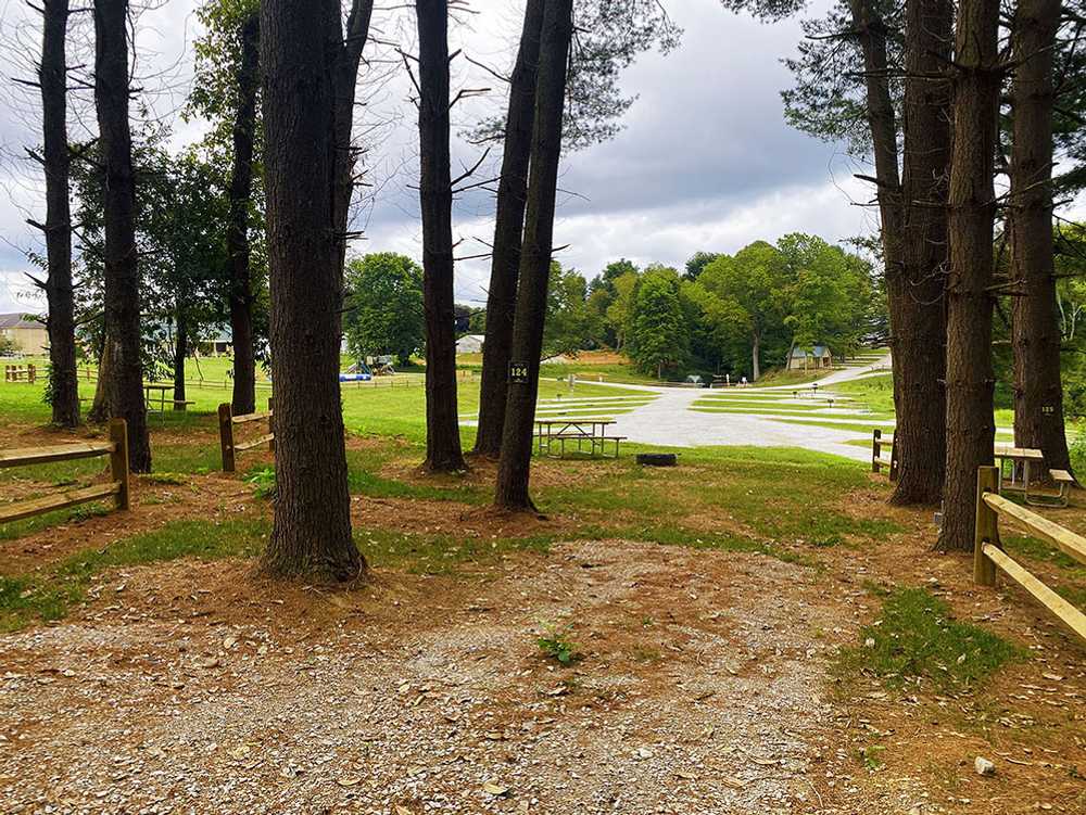 Oakie's Circle / Single Tent Site
