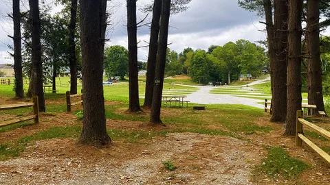 Oakie's Circle / Single Tent Site — image 1 of 3