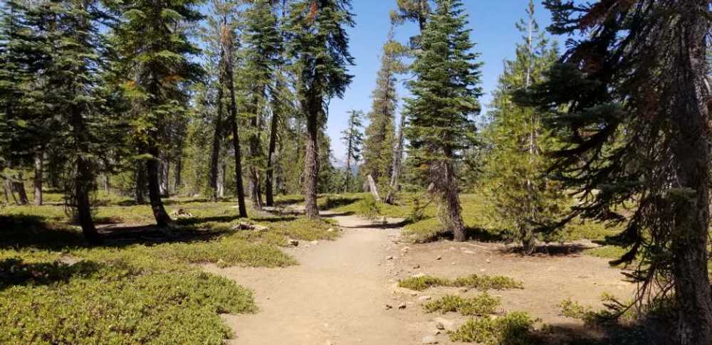 Pioneer RV Park - Photo 4