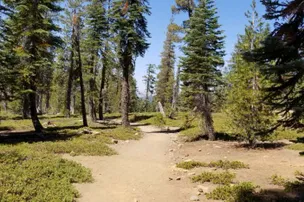 Pioneer RV Park – photo 4