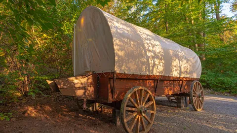 Covered Wagon — image 2 of 13
