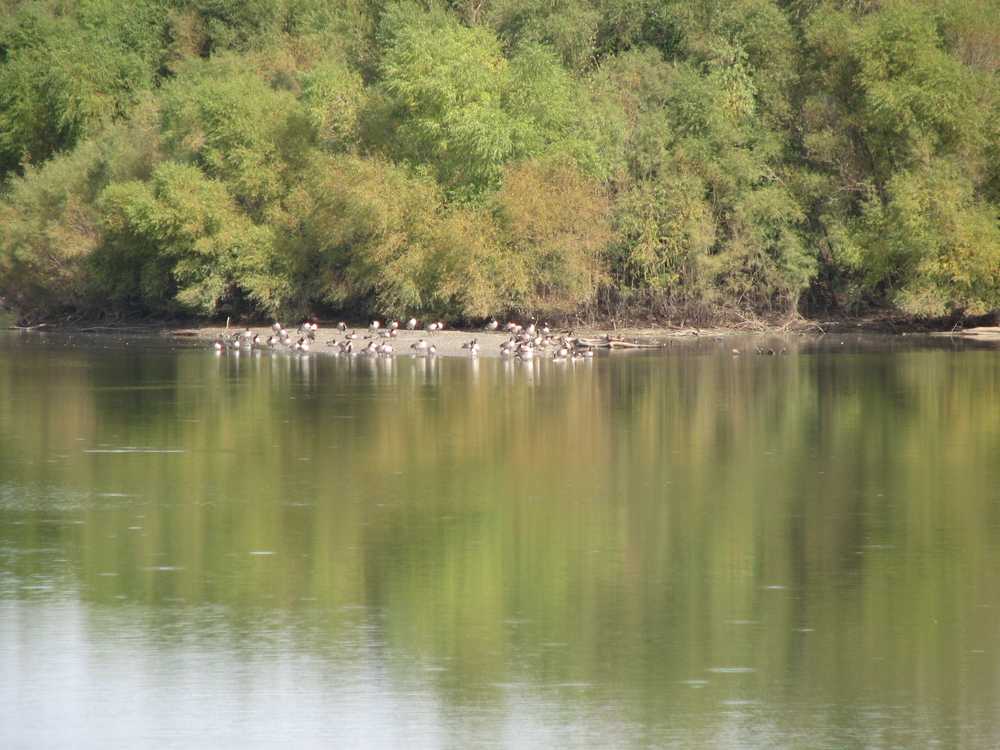 Schildberg Recreation Area Campground - Photo 5