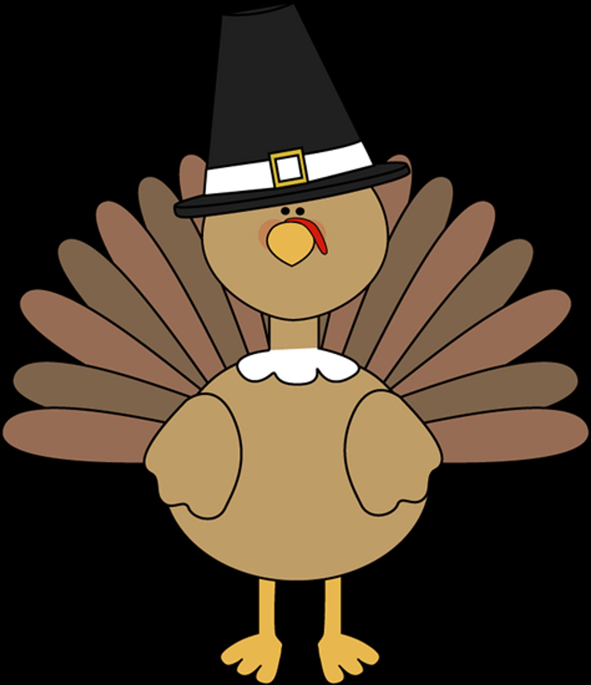 Timber Ridge Horse Campground