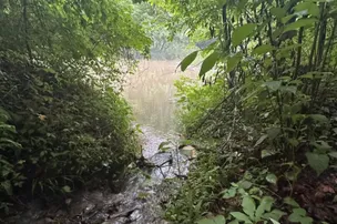 Calfkiller Bend Campground – photo 3